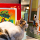 Illustration for article titled Determined, art-loving cats have been trying to sneak into a museum for years